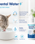 Dental Water+ā¢