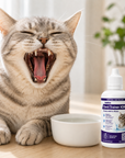 Dent Trainer ION 3.4oz for cats