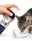 a cat drinking water