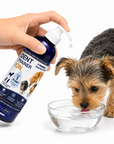 Dent Trainer ION for Dogs & Cats - 8.1oz