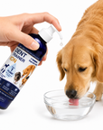 Dent Trainer ION for Dogs & Cats - 8.1oz
