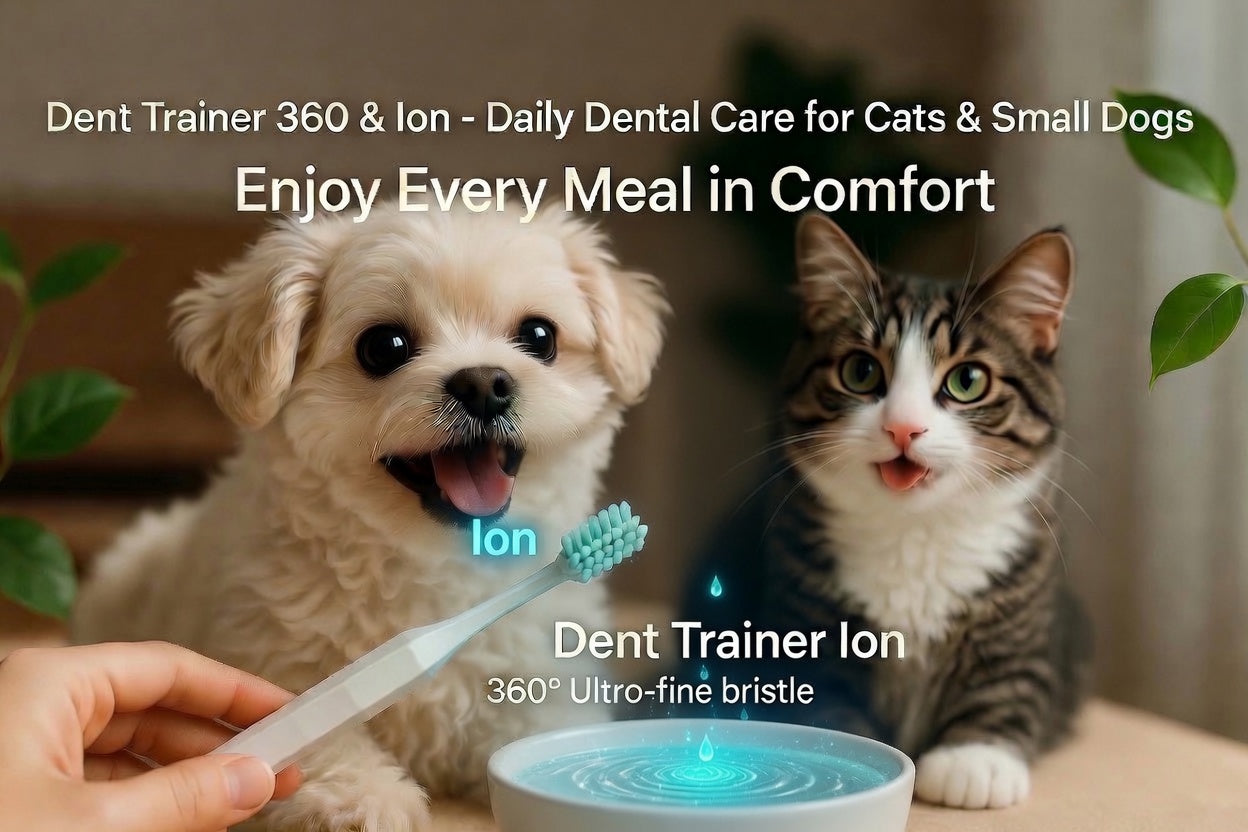 How Poor Dental Health Can Shorten Your Pet’s Happy Years