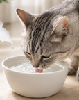Dent Trainer ION 3.4oz for cats