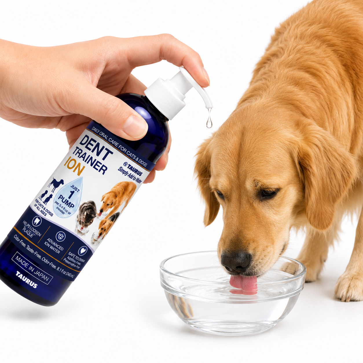 Dent Trainer ION for Dogs &amp; Cats - 8.1oz